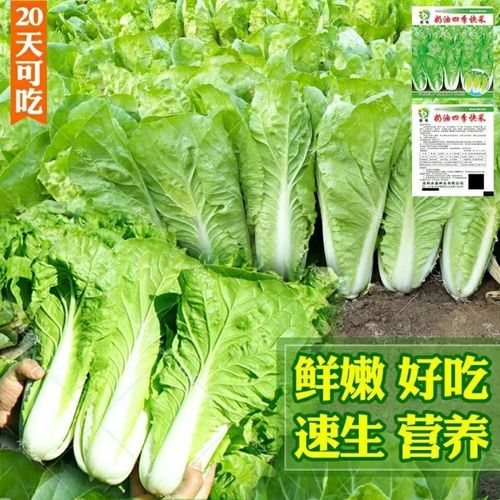 空气过滤器滤芯型号，装之前先看这几处